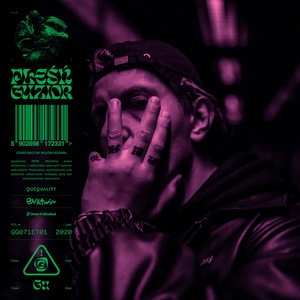 Okładka albumu PLEŚŃ