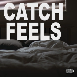Okładka albumu Catch Feels