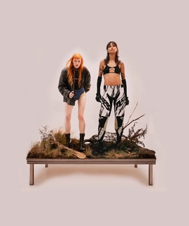 Okładka artysty Icona Pop