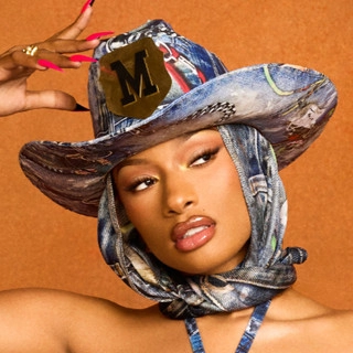 Okładka artysty Megan Thee Stallion