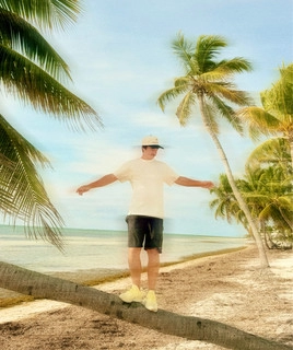 Okładka artysty The Palm Tree Boy