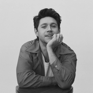 Okładka artysty Niall Horan