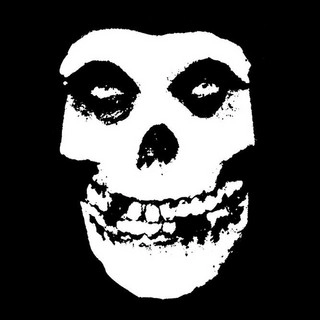 Okładka artysty Misfits