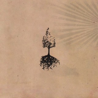 Okładka artysty Mutemath