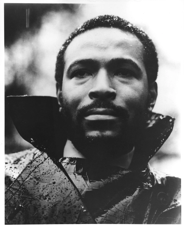 Okładka artysty Marvin Gaye