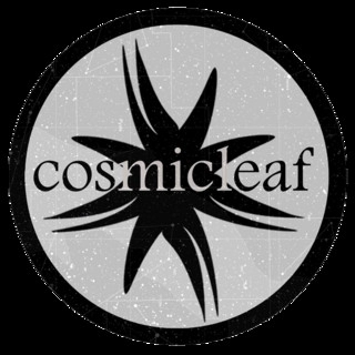Okładka artysty Cosmicleaf