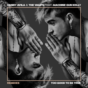 Okładka utworu Too Good to Be True (feat. Machine Gun Kelly) - Danny Avila's Ibiza Remix