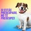 The Only Exception