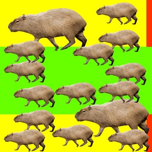 Okładka utworu КАПИБАРА