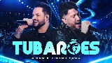 Okładka teledysku Tubarões - Ao Vivo
