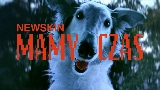 Okładka teledysku MAMY CZAS