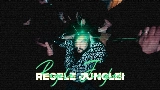 Okładka teledysku Regele Junglei