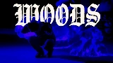 Okładka teledysku WOODS