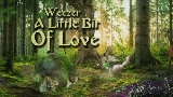 Okładka teledysku A Little Bit of Love