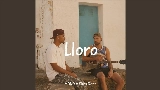 Okładka teledysku Lloro