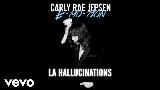 Okładka teledysku LA Hallucinations