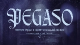 Okładka teledysku Pegaso