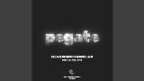 Okładka teledysku PEGATE
