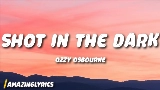 Okładka teledysku Shot in the Dark