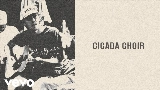 Okładka teledysku Cicada Choir