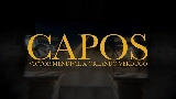 Okładka teledysku Capos