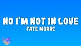 Okładka teledysku No I'm not in love