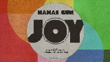 Okładka teledysku Joy