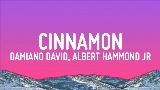 Okładka teledysku Cinnamon (feat. Albert Hammond Jr)