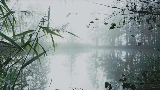 Okładka teledysku reverie